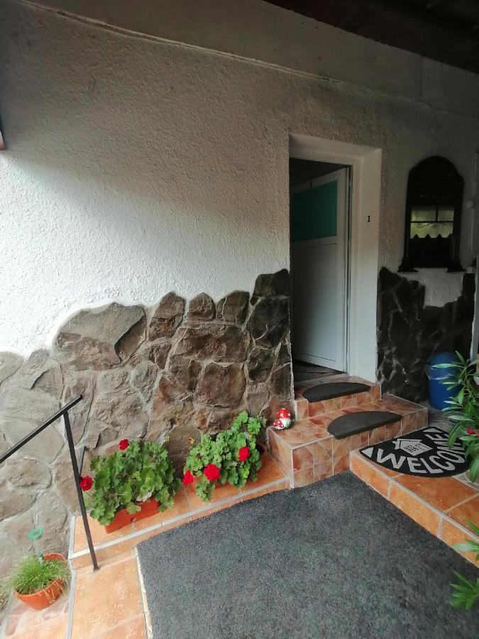 Made In Transilvania Sighişoara Eksteriør bilde